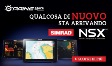 PAINESTORE PRÄSENTIERT SIMRAD NSX Painestore