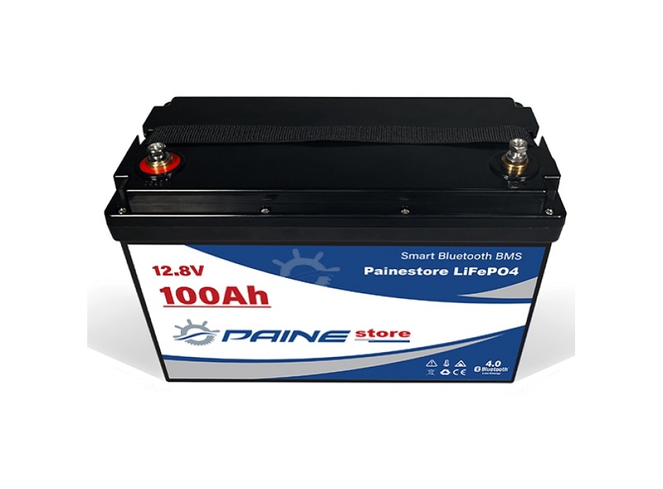 12,8 V 100 Ah LiFePO4 Smart BMS Lithium-Batterie mit Bluetooth Painestore
