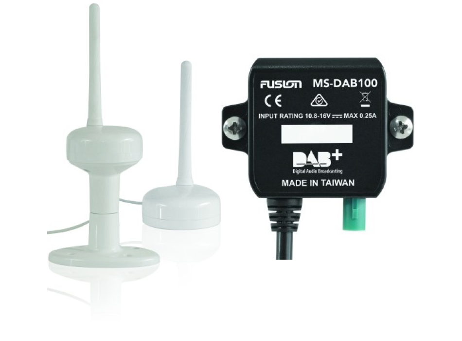 Fusion DAB-Modul mit DAB100-Antenne Painestore