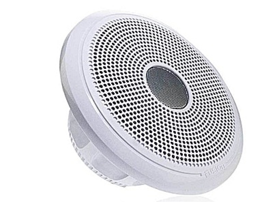 Fusion XS-F65CWB 6,5"-Lautsprecher mit klassischem Gitter Painestore