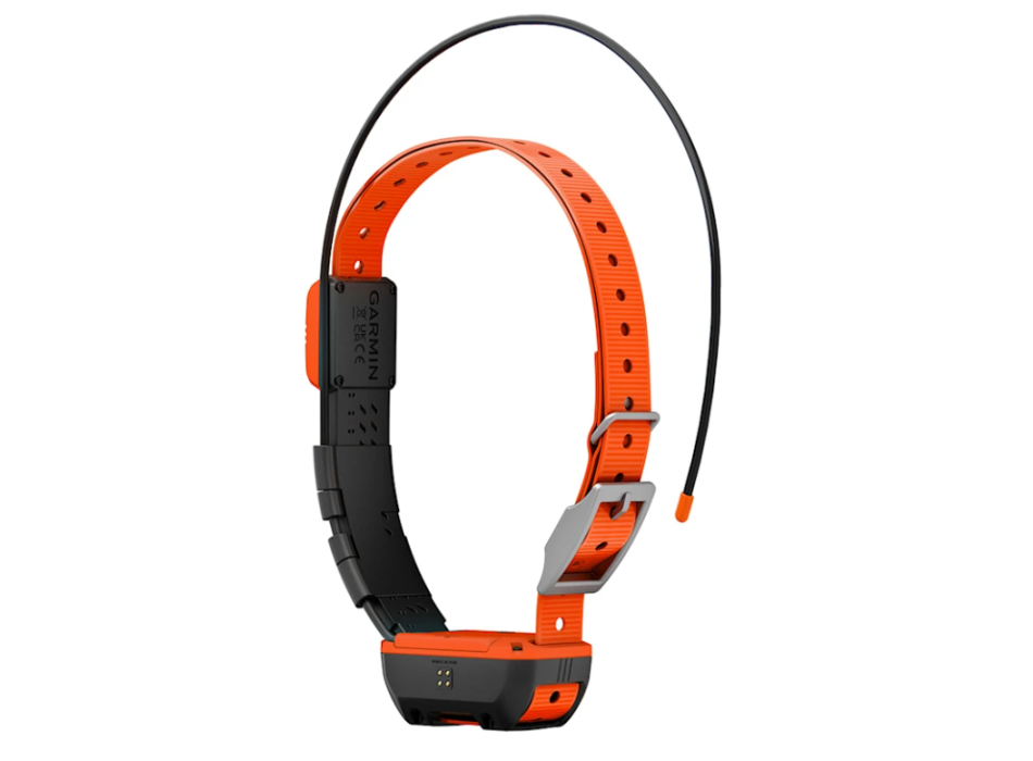 Garmin Alpha T 20 Hundehalsband Painestore