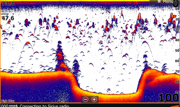FIRST THE TRANSDUCER, THEN THE FISHFINDER. CHIRP TRANSDUCERS Painestore