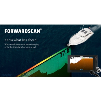 ForwardScan ™ transducer Painestore