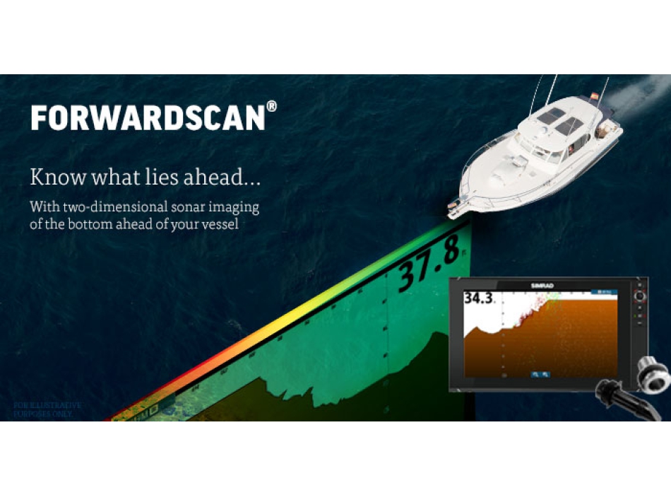 ForwardScan ™ transducer Painestore