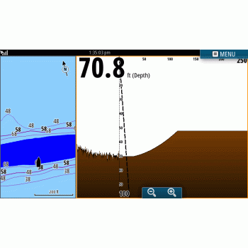 ForwardScan ™ transducer Painestore