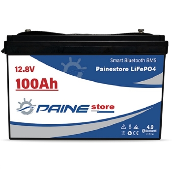12.8V 100Ah LiFePO4 Smart BMS Lithium Battery with Bluetooth Painestore