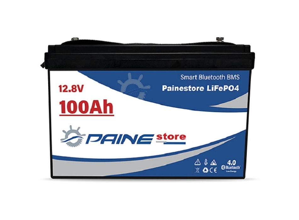 12.8V 100Ah LiFePO4 Smart BMS Lithium Battery with Bluetooth Painestore