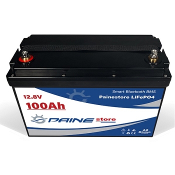 12.8V 100Ah LiFePO4 Smart BMS Lithium Battery with Bluetooth Painestore