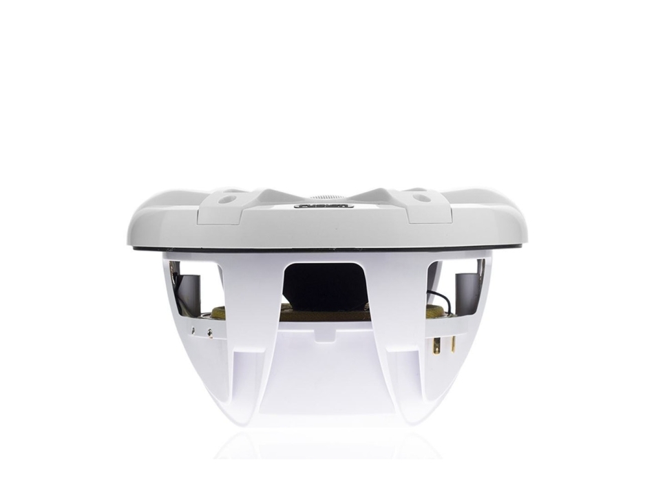 Fusion SG-FL772SPW Signature 3 White with LEDs Painestore