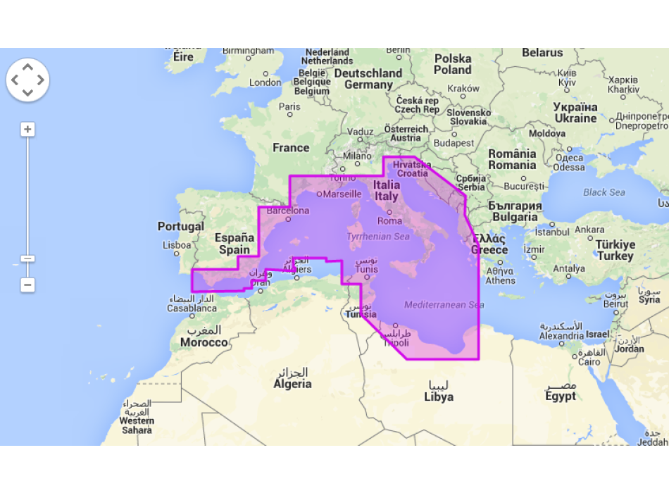 Mapmedia WVJEMM076MAP6.1 Wide Painestore