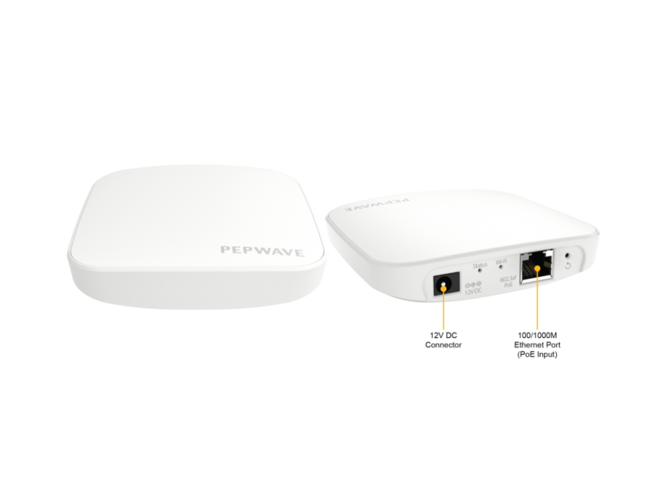 PEPWAVE AP One AC Mini Painestore