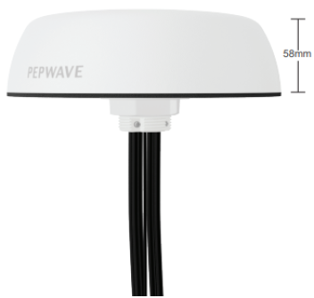 PEPWAVE Mobility 42G Painestore