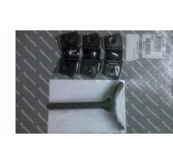 Raymarine Goiot steering eyebolts kit Painestore