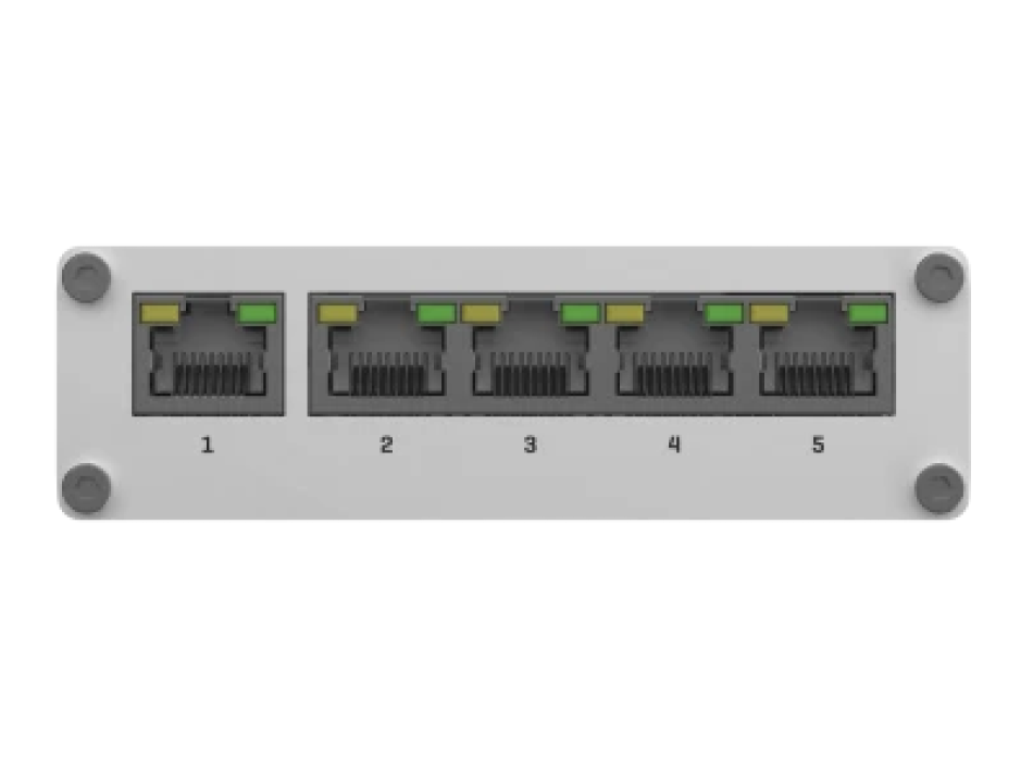 TELTONIKA TSW110 Painestore