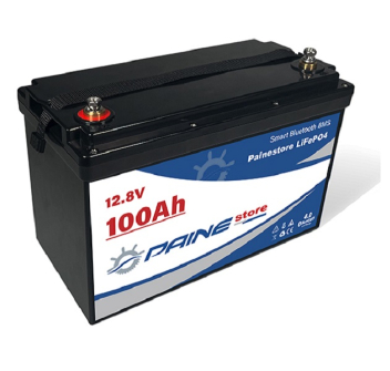 12,8 V 100 Ah LiFePO4 Smart BMS Lithium-Batterie mit Bluetooth Painestore