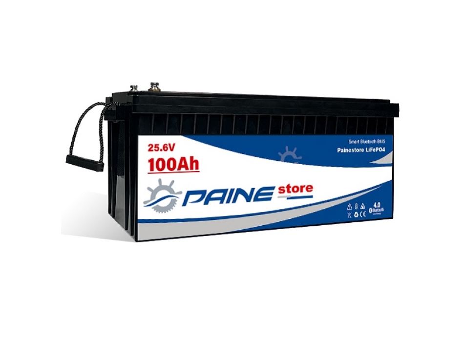 24V 100Ah LiFePO4 Smart BMS Lithium-Batterie mit Bluetooth Painestore