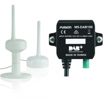 Fusion DAB-Modul mit DAB100-Antenne Painestore