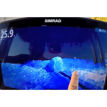 StructureScan 3D-Echomodul Painestore