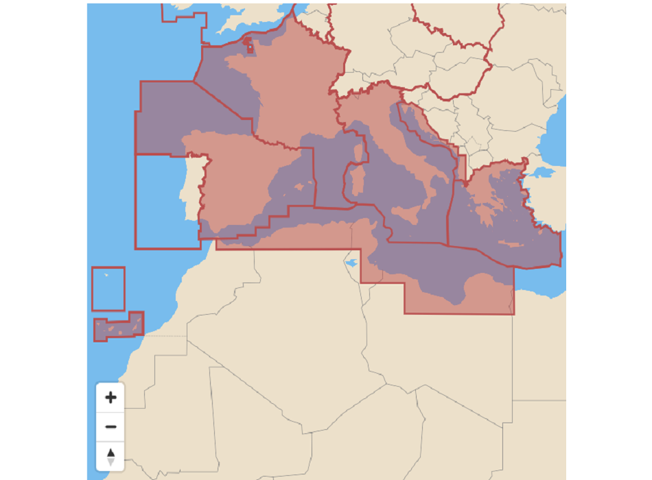 Raymarine Leuchtturm Mittelmeer-Kartografie vorinstalliert Painestore