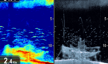Libélula Painestore