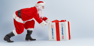 ENVÍOS NAVIDAD 2025 Painestore