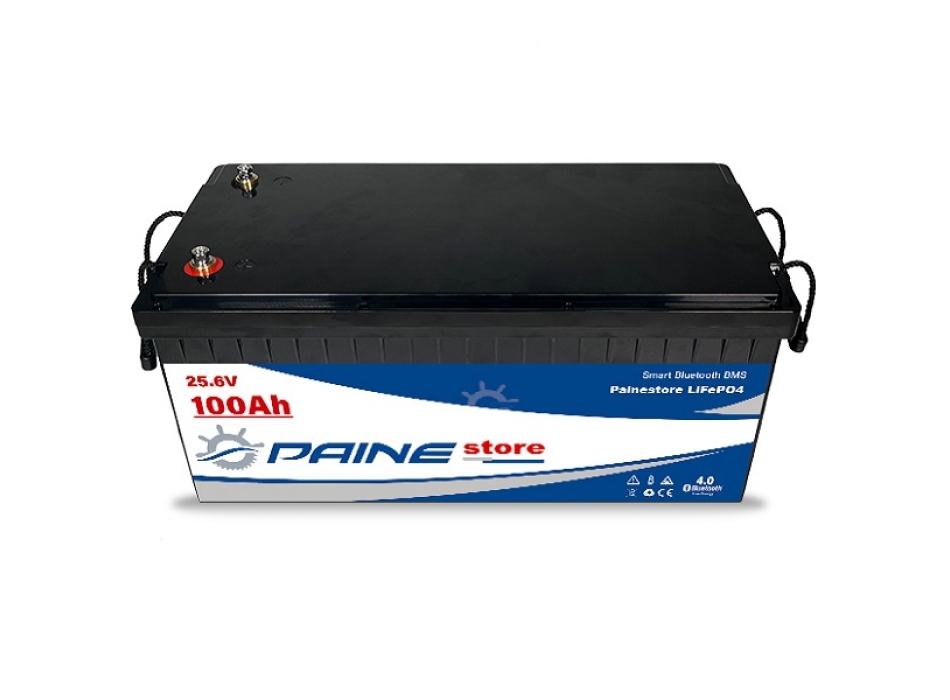 Batería de litio inteligente LiFePO4 de 24 V y 100 Ah con BMS y Bluetooth Painestore