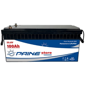 Batería de litio inteligente LiFePO4 de 24 V y 100 Ah con BMS y Bluetooth Painestore