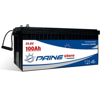 Batería de litio inteligente LiFePO4 de 24 V y 100 Ah con BMS y Bluetooth Painestore