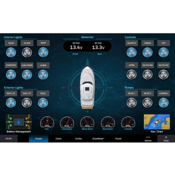 Interruptor de barco Garmin Painestore