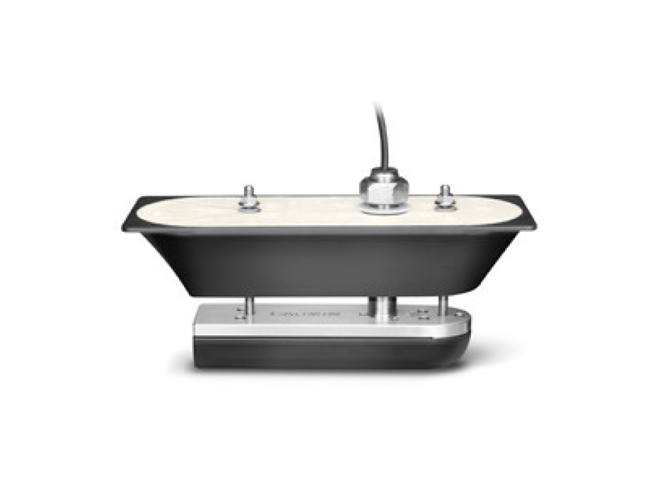 Garmin Chirp GT51-TH 80/160 y SDV Bronce Painestore