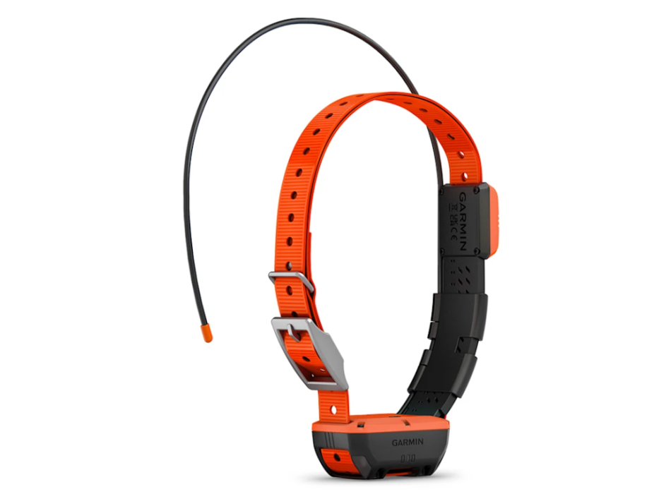 Collar para perros Garmin Alpha T 20 Painestore