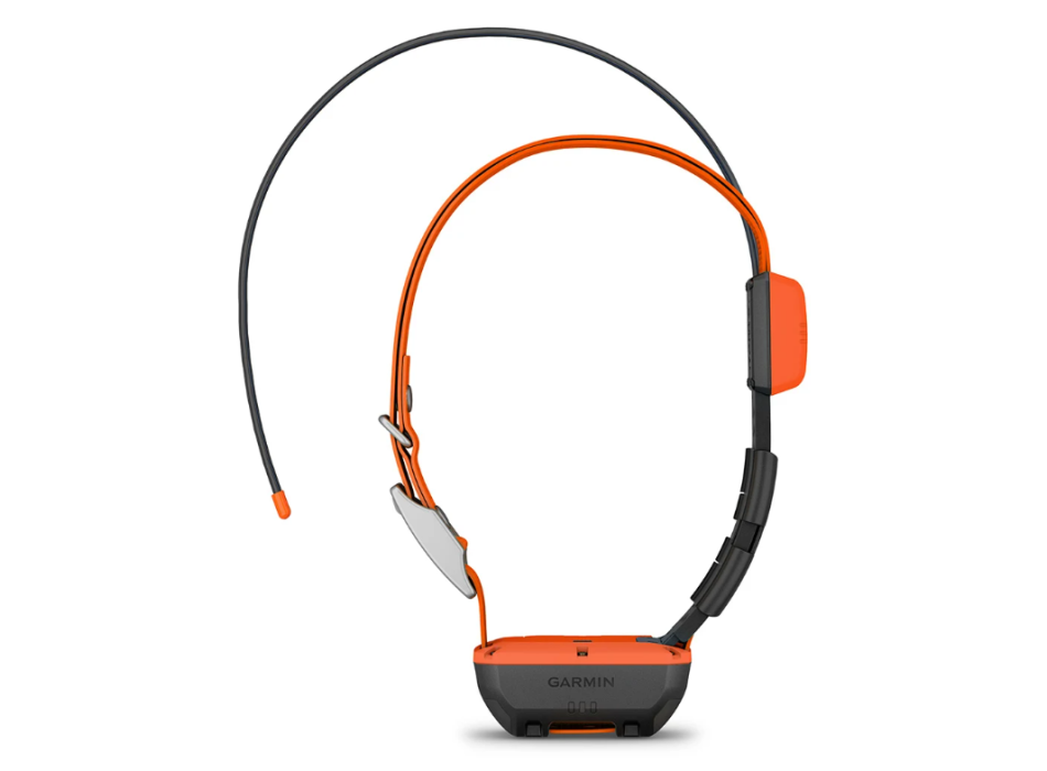 Collar para perros Garmin Alpha T 20 Painestore