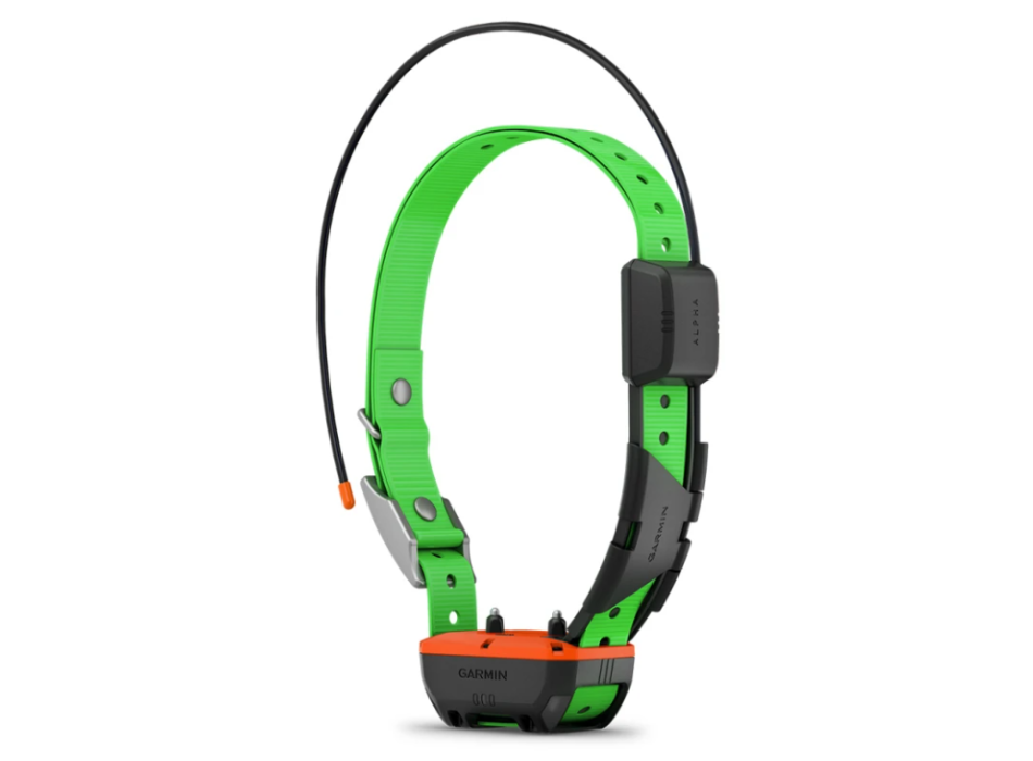 Collar para perros Garmin Alpha TT 25 Painestore