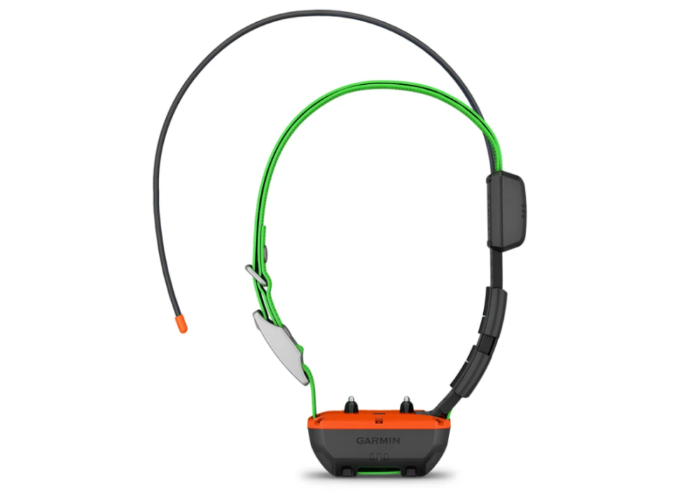 Collar para perros Garmin Alpha TT 25 Painestore