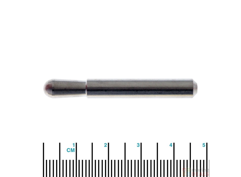 Pasador de anclaje Raymarine D001 Painestore