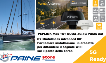 Peplink Max TST DUO et PUMA compatible 4G-5G Antenne Painestore