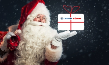 EXPÉDITIONS POUR LES FÊTES ET NOËL 2022 DE L'IMMACULÉE CONCEPTION Painestore