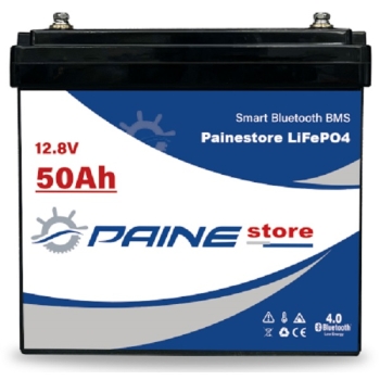 Batterie au lithium LiFePO4 12,8 V 50 Ah avec BMS intelligent  Painestore