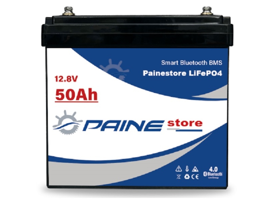 Batterie au lithium LiFePO4 12,8 V 50 Ah avec BMS intelligent  Painestore
