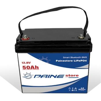 Batterie au lithium LiFePO4 12,8 V 50 Ah avec BMS intelligent  Painestore