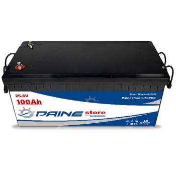 Batterie au lithium LiFePO4 24 V 100 Ah avec BMS intelligent et Bluetooth Painestore