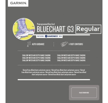 Garmin G2 HD Standard SD-MicroSD Painestore