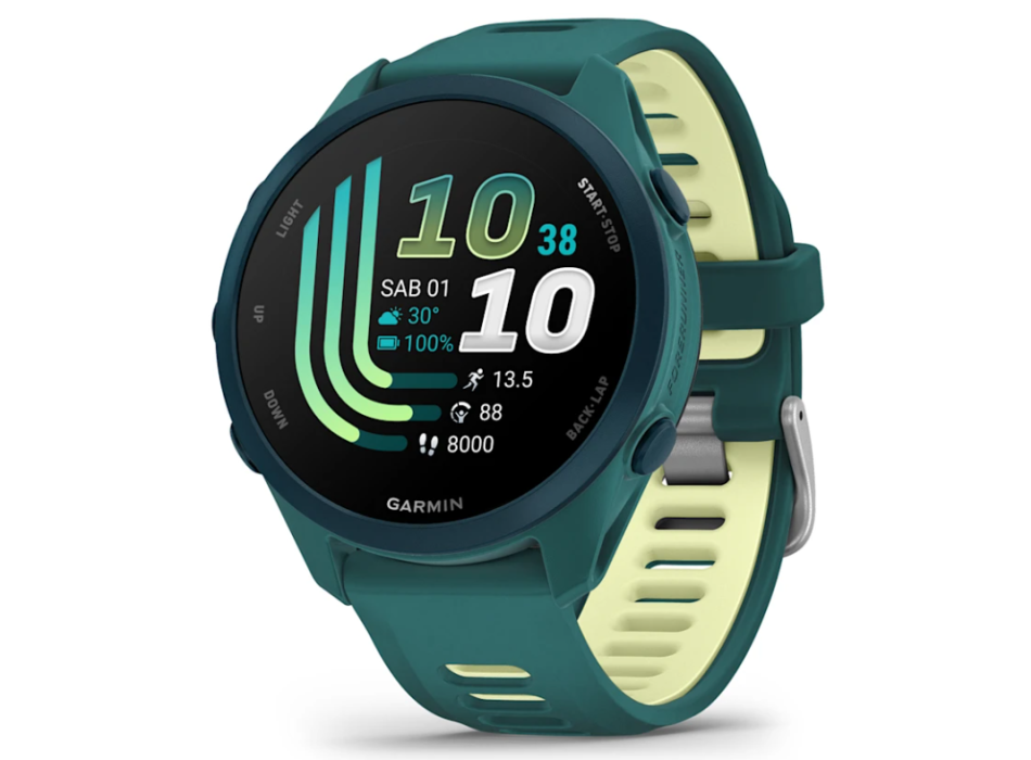 Musique Grammin Forerunner 170 Painestore