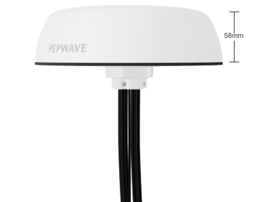 PEPWAVE Mobilité 42G Painestore