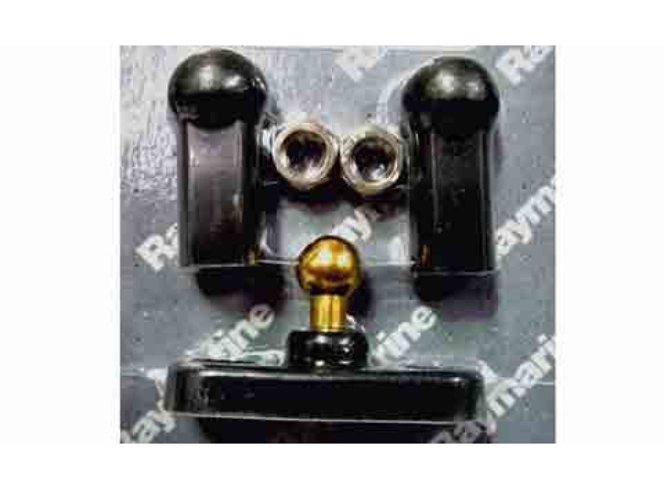 Kit Raymarine D143 Rotules Axe de barre franche Painestore