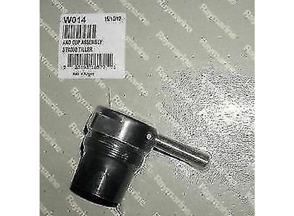 Terminal d'actionneur de barre franche Raymarine Painestore